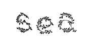 seanewyork